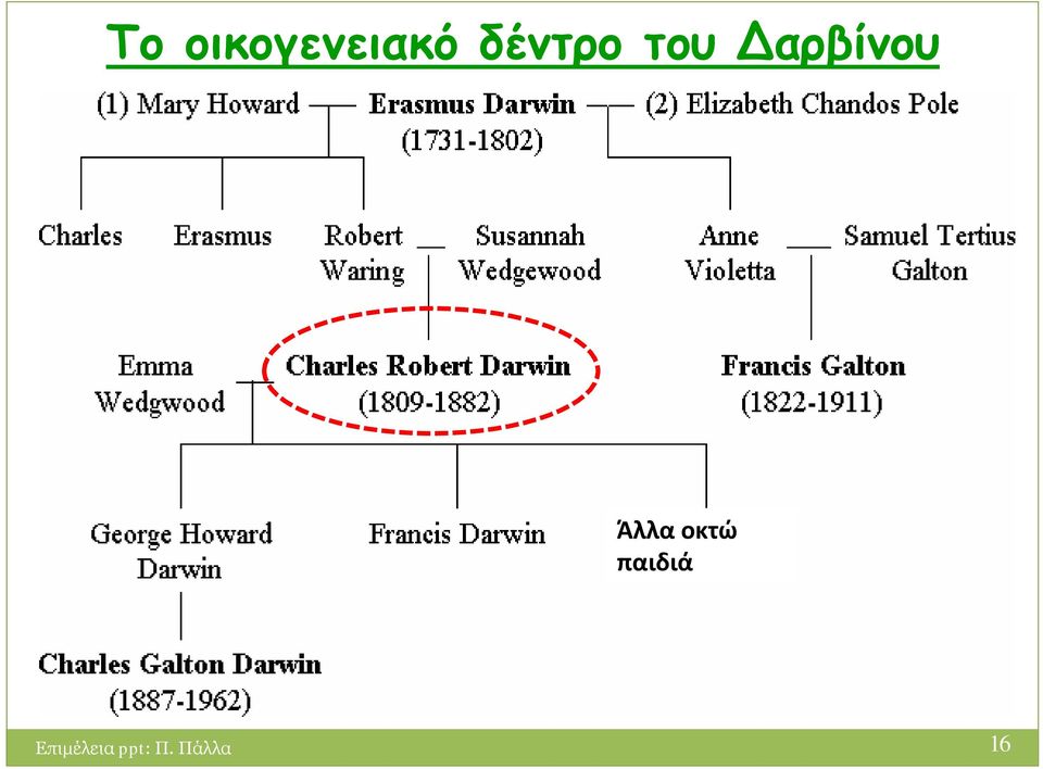 Άλλα οκτώ παιδιά