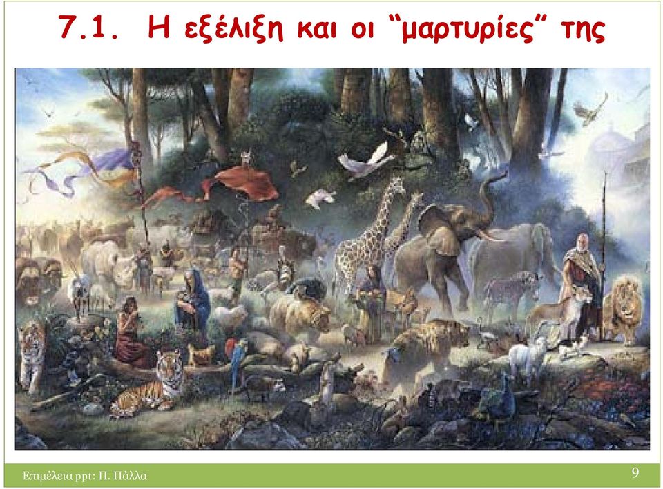 φάλαινες.