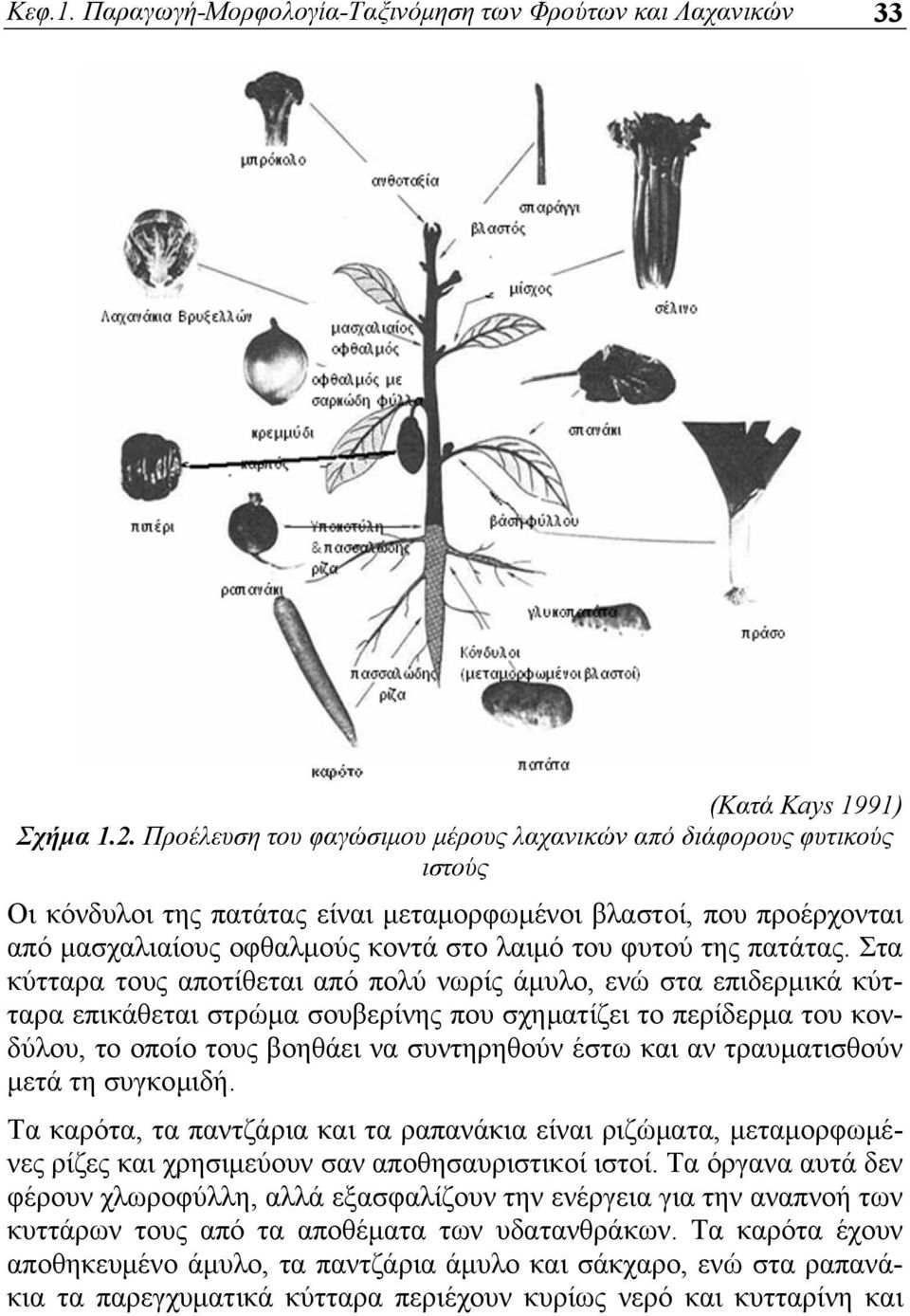 πατάτας.