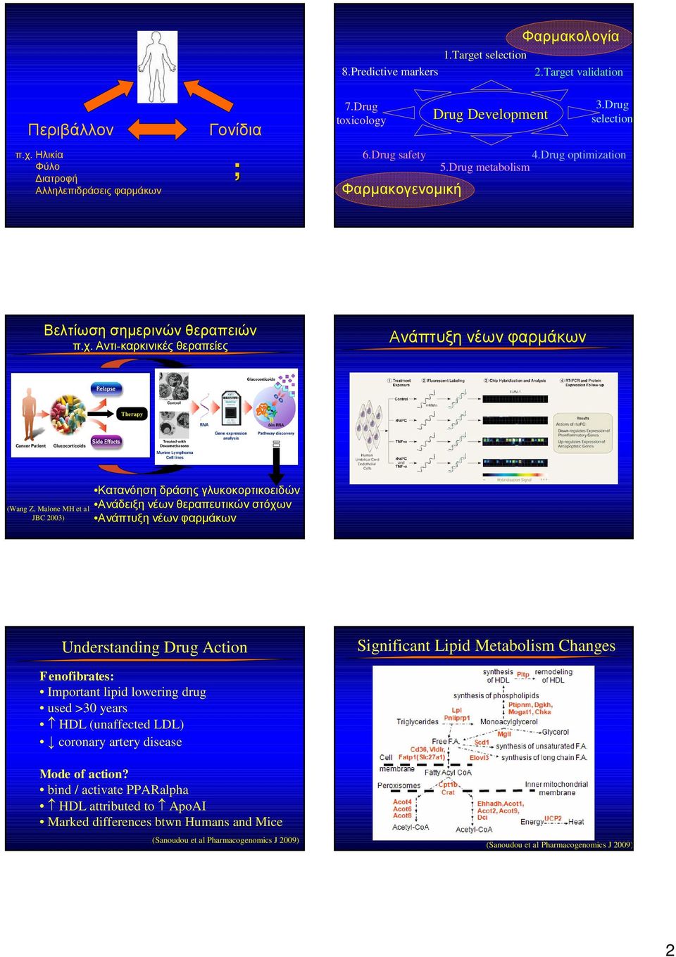 Αντι-καρκινικές θεραπείες Ανάπτυξη νέων φαρμάκων Therapy (Wang Z, Malone MH et al JBC 2003) Κατανόηση δράσης γλυκοκορτικοειδών Ανάδειξη νέων θεραπευτικών στόχων Ανάπτυξη νέων φαρμάκων