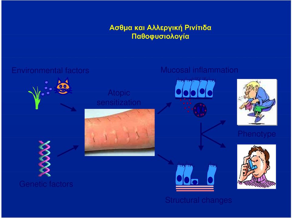 Mucosal inflammation Atopic