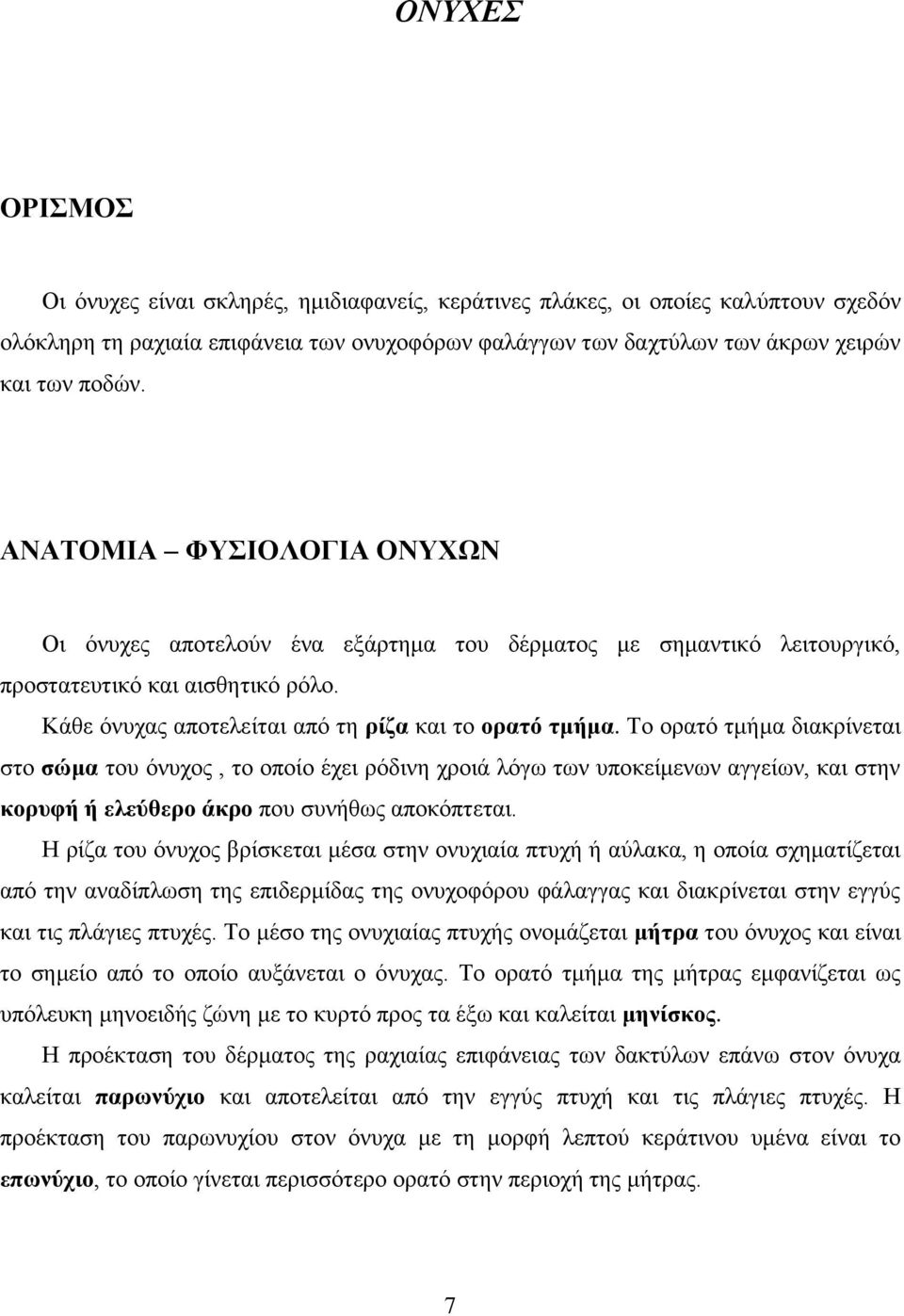 Το ορατό τμήμα διακρίνεται στο σώμα του όνυχος, το οποίο έχει ρόδινη χροιά λόγω των υποκείμενων αγγείων, και στην κορυφή ή ελεύθερο άκρο που συνήθως αποκόπτεται.