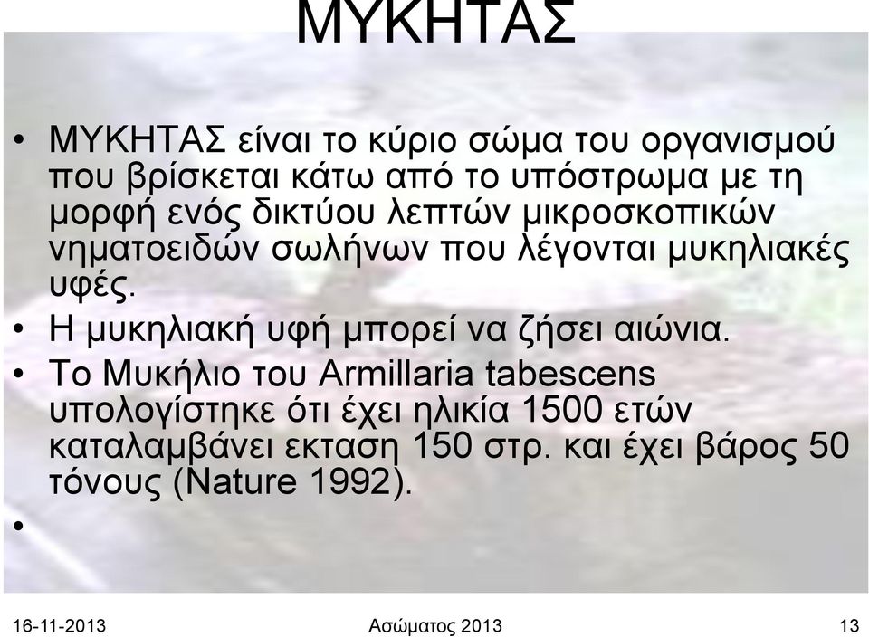 Η μυκηλιακή υφή μπορεί να ζήσει αιώνια.