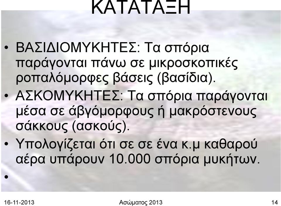 ΑΣΚΟΜΥΚΗΤΕΣ: Τα σπόρια παράγονται μέσα σε άβγόμορφους ή μακρόστενους