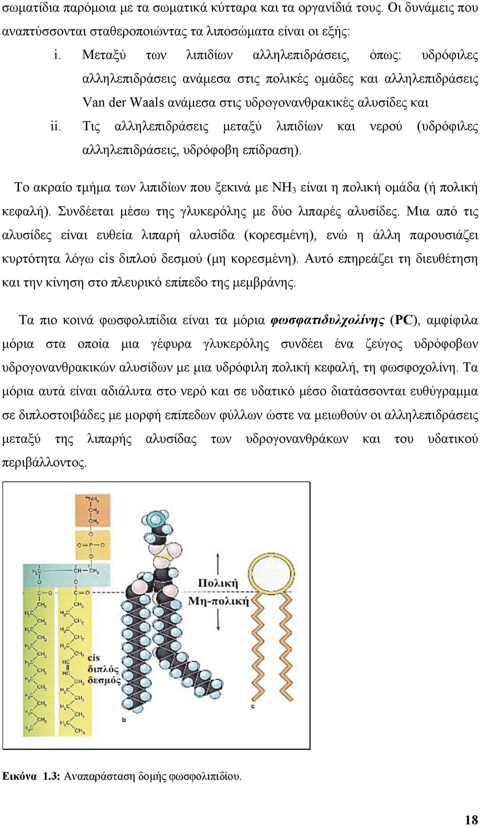 Τις αλληλεπιδράσεις μεταξύ λιπιδίων και νερού (υδρόφιλες αλληλεπιδράσεις, υδρόφοβη επίδραση). Το ακραίο τμήμα των λιπιδίων που ξεκινά με NH 3 είναι η πολική ομάδα (ή πολική κεφαλή).