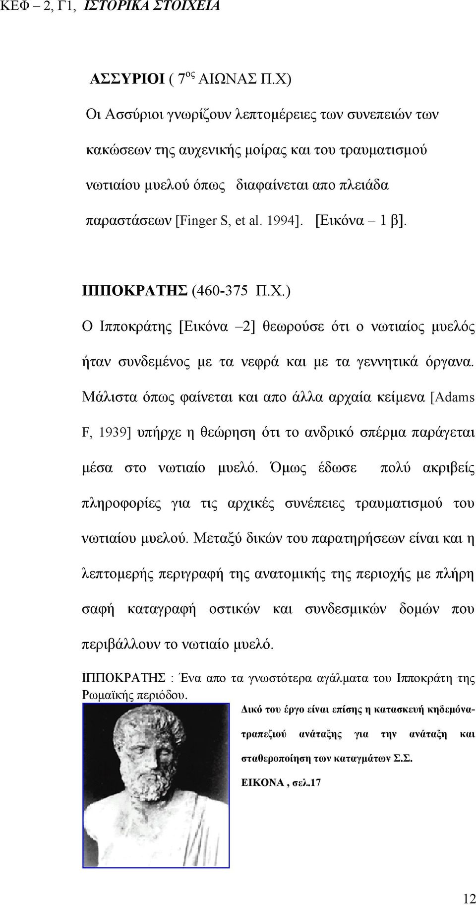 [Εικόνα 1 β]. ΙΠΠΟΚΡΑΤΗΣ (460-375 Π.Χ.) Ο Ιπποκράτης [Εικόνα 2] θεωρούσε ότι ο νωτιαίος μυελός ήταν συνδεμένος με τα νεφρά και με τα γεννητικά όργανα.