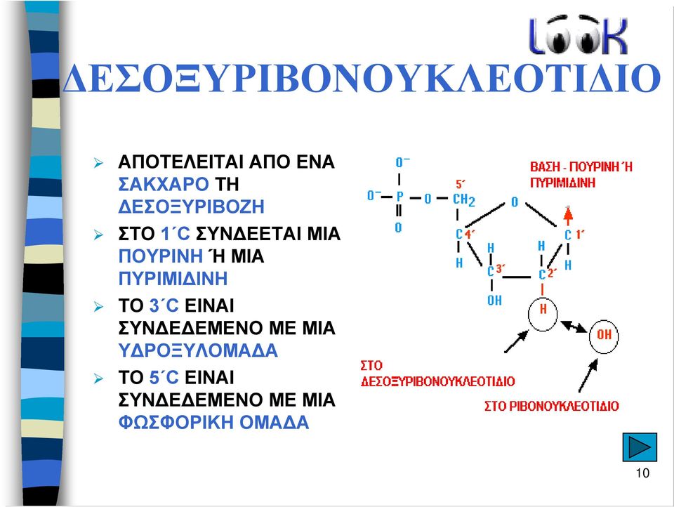 ΠΥΡΙΜΙ ΙΝΗ ΤΟ 3 C EINAI ΣΥΝ Ε ΕΜΕΝΟ ΜΕ ΜΙΑ Υ