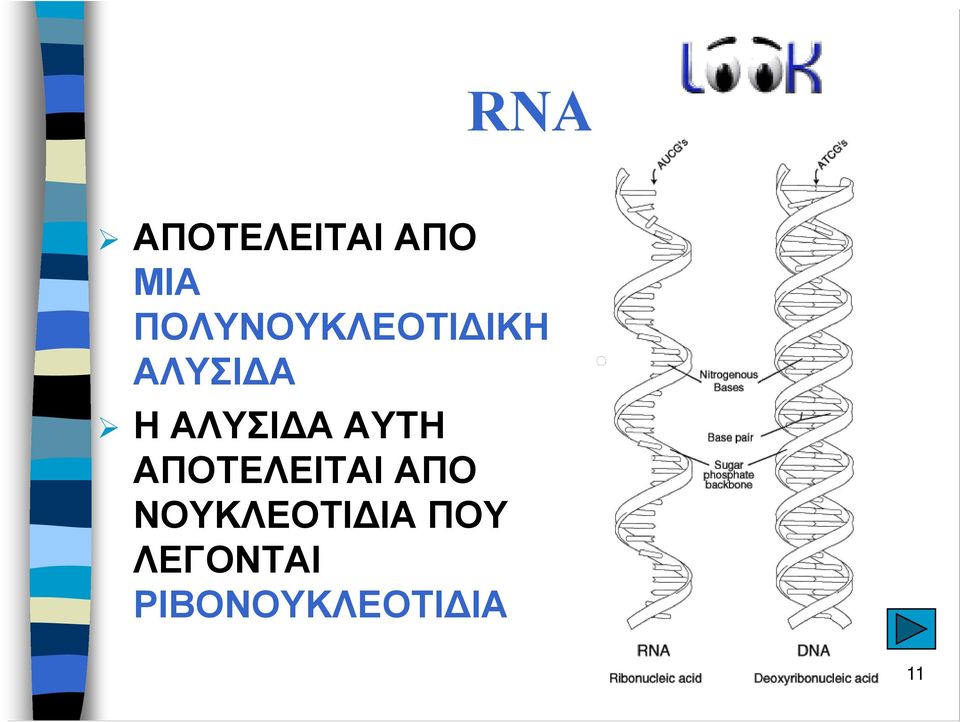 ΑΛΥΣΙ Α AYTH ΑΠΟΤΕΛΕΙΤΑΙ ΑΠΟ