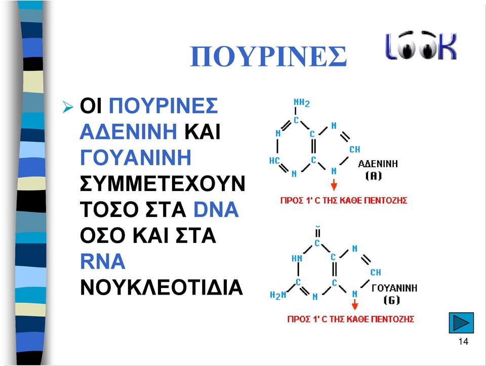 ΤΟΣΟ ΣΤΑ DNA ΟΣΟ ΚΑΙ ΣΤΑ