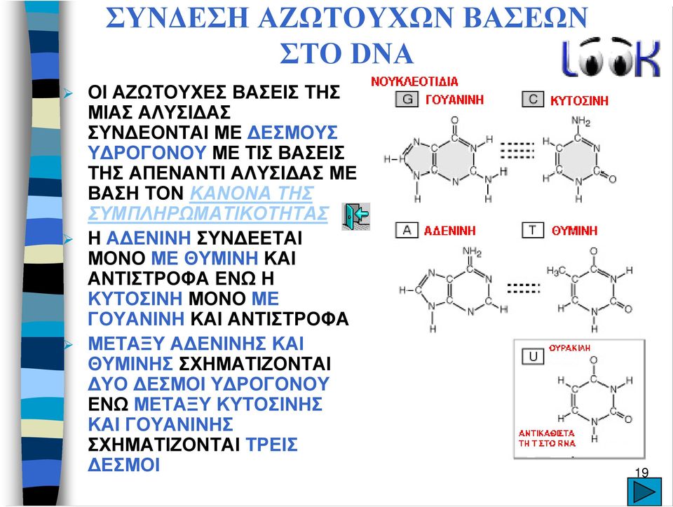 ΕΕΤΑΙ ΜΟΝΟ ΜΕ ΘΥΜΙΝΗ ΚΑΙ ΑΝΤΙΣΤΡΟΦΑ ΕΝΩ Η ΚΥΤΟΣΙΝΗ ΜΟΝΟ ΜΕ ΓΟΥΑΝΙΝΗ ΚΑΙ ΑΝΤΙΣΤΡΟΦΑ ΜΕΤΑΞΥ Α ΕΝΙΝΗΣ