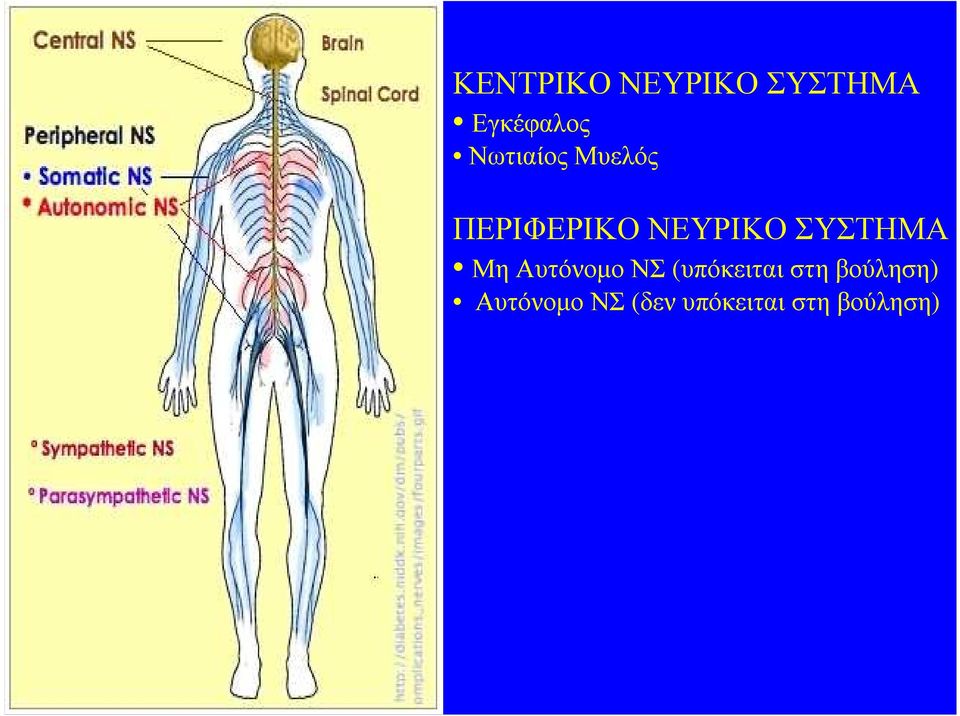 ΣΥΣΤΗΜΑ Μη Αυτόνοµο ΝΣ (υπόκειται στη