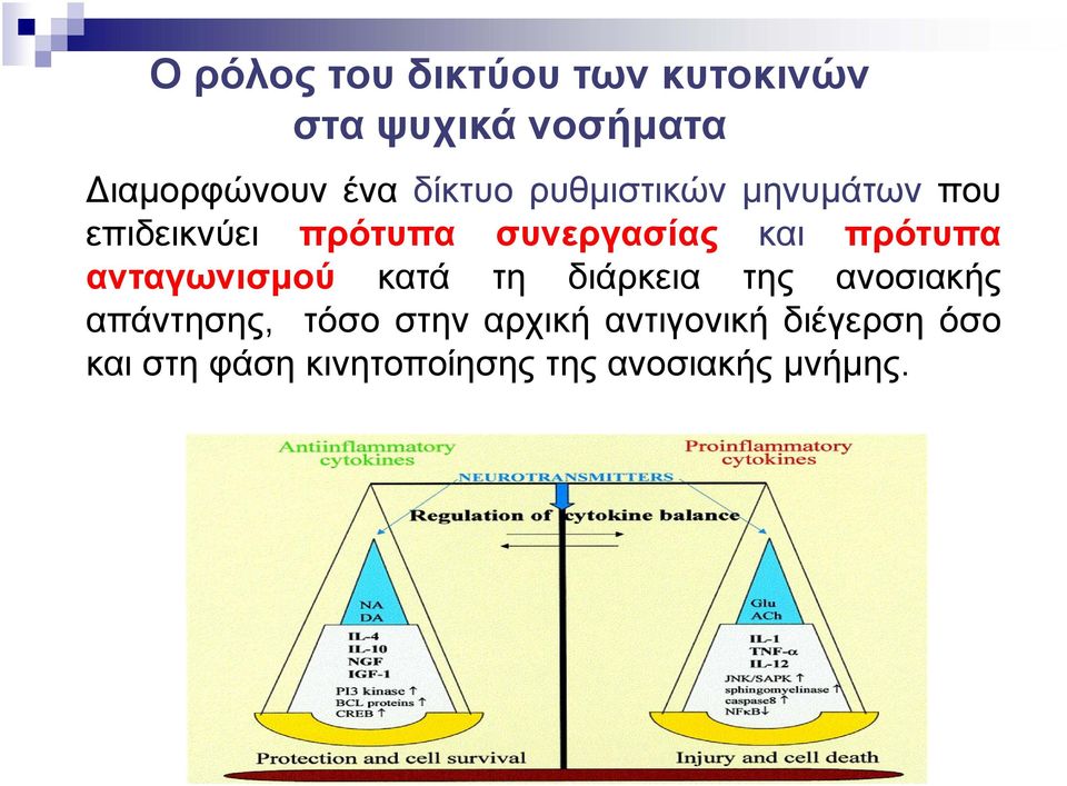 πρότυπα ανταγωνισμού κατά τη διάρκεια της ανοσιακής απάντησης, τόσο στην