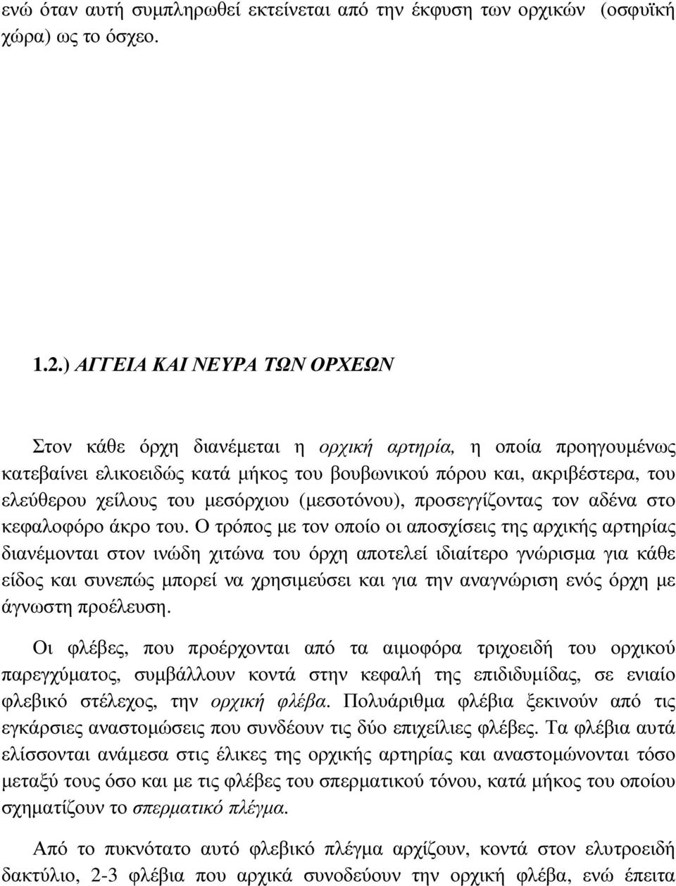 µεσόρχιου (µεσοτόνου), προσεγγίζοντας τον αδένα στο κεφαλοφόρο άκρο του.