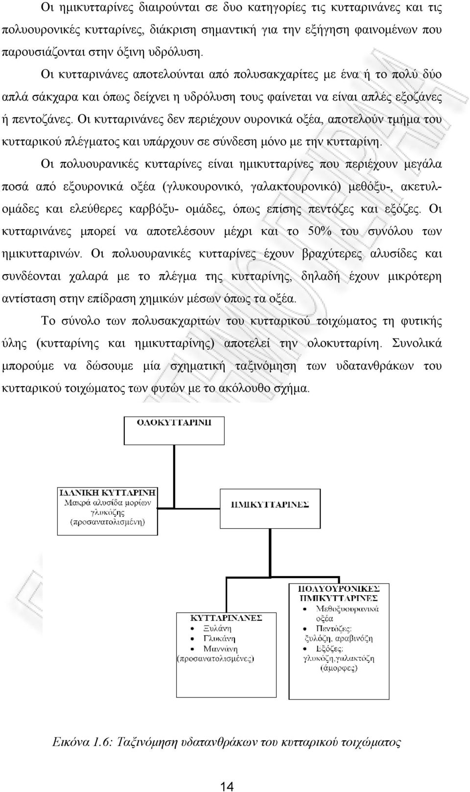 Οι κυτταρινάνες δεν περιέχουν ουρονικά οξέα, αποτελούν τμήμα του κυτταρικού πλέγματος και υπάρχουν σε σύνδεση μόνο με την κυτταρίνη.