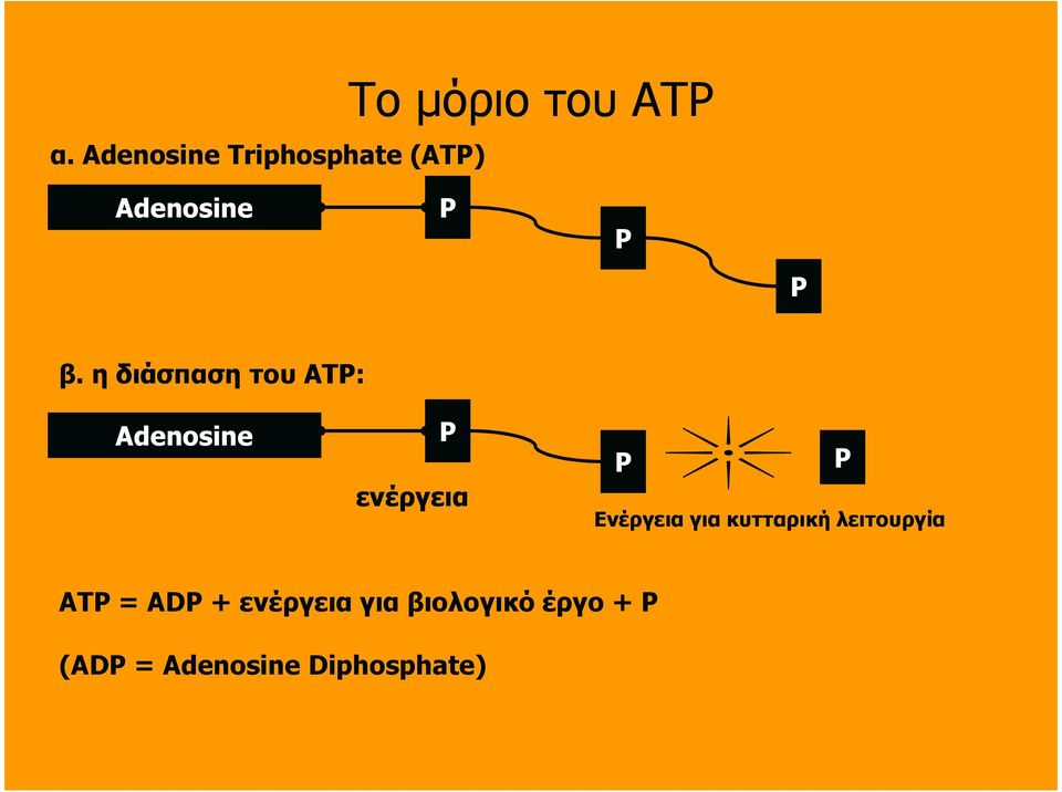 η διάσπαση του ATP: Adenosine P ενέργεια P Ενέργεια