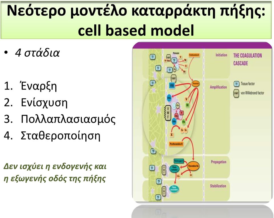 Σταθεροποίηση cell based model Δεν ισχύει