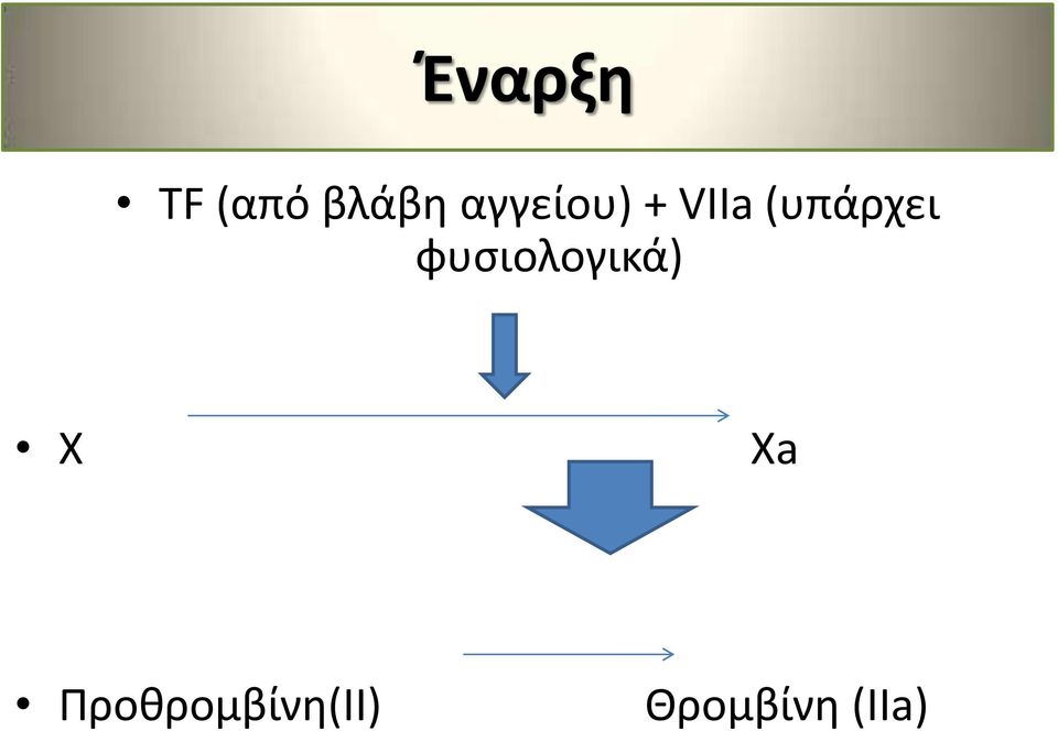 (υπάρχει φυσιολογικά) X