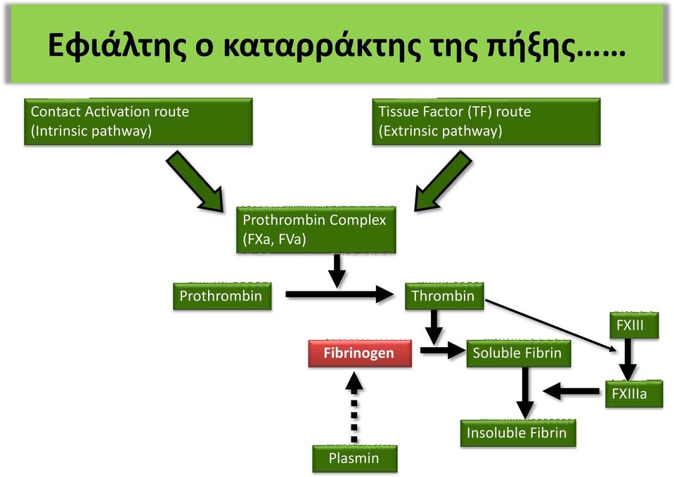 pathway) Prothrombin Complex (FXa, FVa) Prothrombin