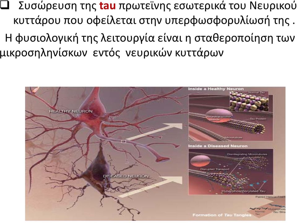 υπερφωσφορυλίωσή της.