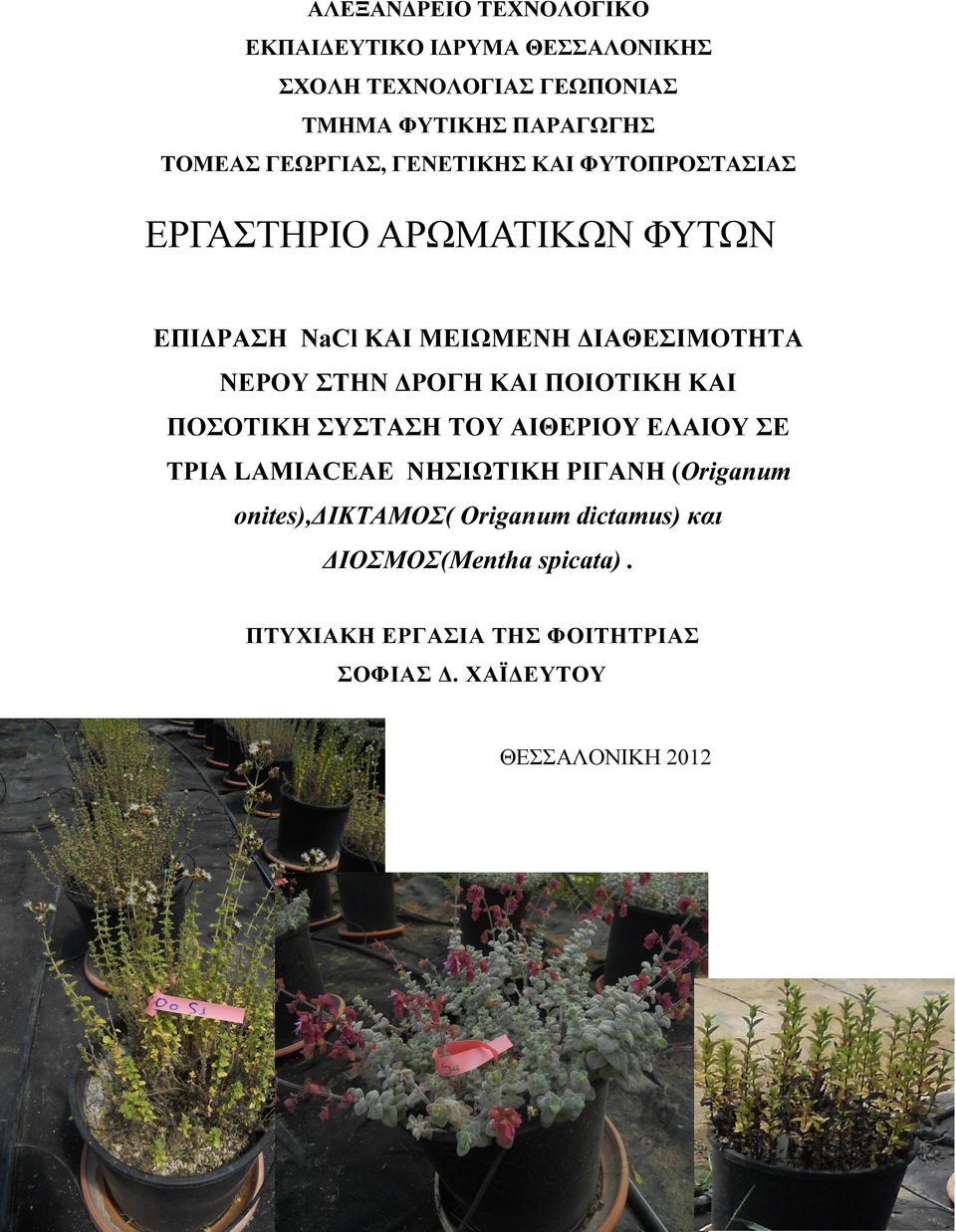 ΡΟΓΗ ΚΑΙ ΠΟΙΟΤΙΚΗ ΚΑΙ ΠΟΣΟΤΙΚΗ ΣΥΣΤΑΣΗ ΤΟΥ ΑΙΘΕΡΙΟΥ ΕΛΑΙΟΥ ΣΕ ΤΡΙΑ LAMIACEAE ΝΗΣΙΩΤΙΚΗ ΡΙΓΑΝΗ (Origanum onites),