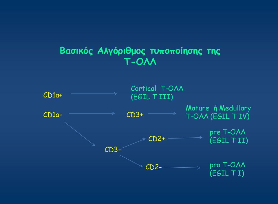 Μature ή Medullary Τ-ΟΛΛ (EGIL T IV) CD3-