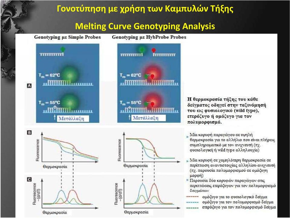 Καμπυλών Τήξης