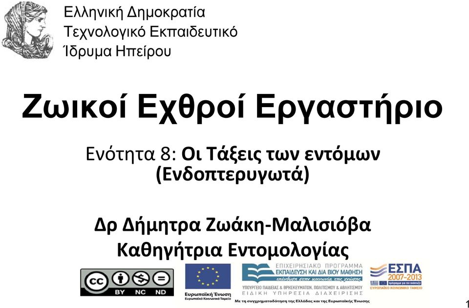 Ενότητα 8: Οι Τάξεις των εντόμων
