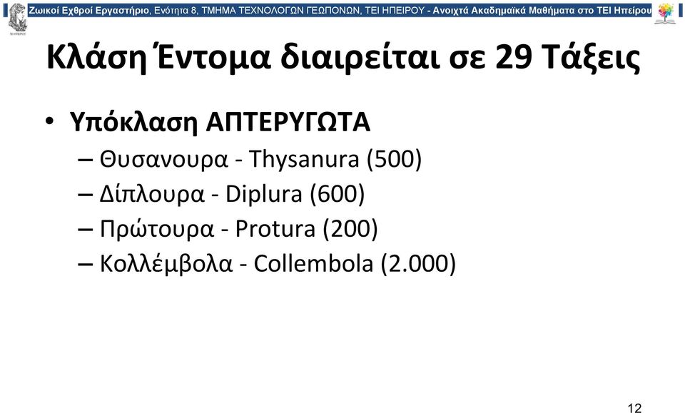 (500) Δίπλουρα Diplura (600) Πρώτουρα