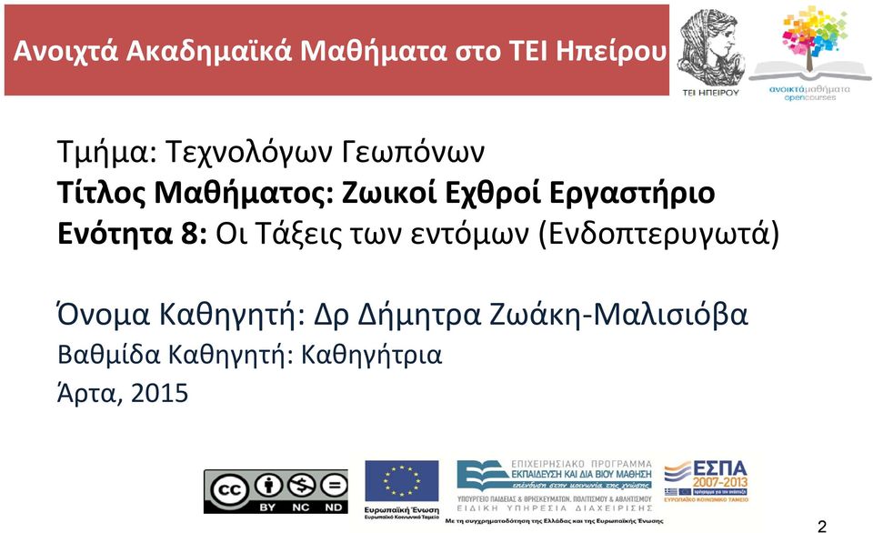 8: Οι Τάξεις των εντόμων (Ενδοπτερυγωτά) Όνομα Καθηγητή: Δρ