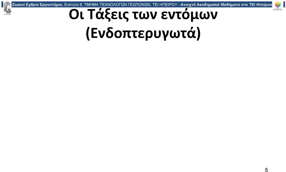 εντόμων