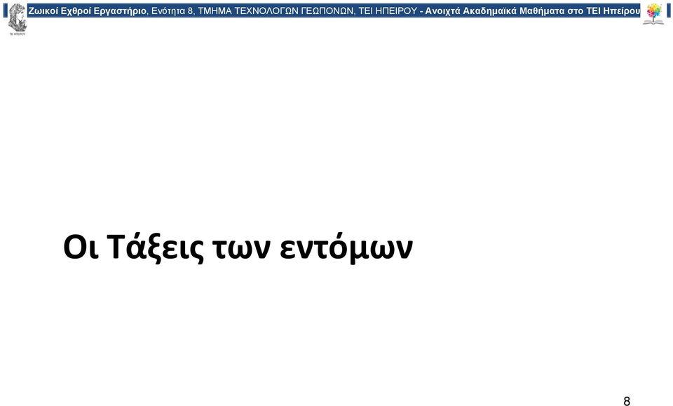 εντόμων 8