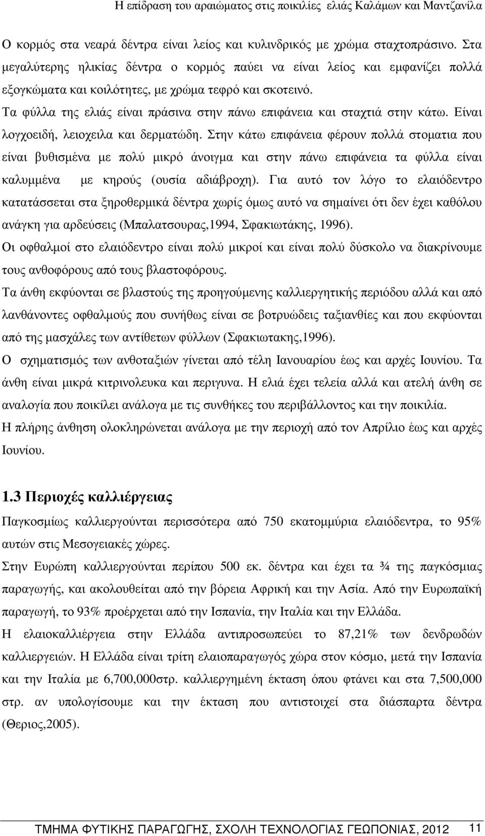 Τα φύλλα της ελιάς είναι πράσινα στην πάνω επιφάνεια και σταχτιά στην κάτω. Είναι λογχοειδή, λειοχειλα και δερµατώδη.