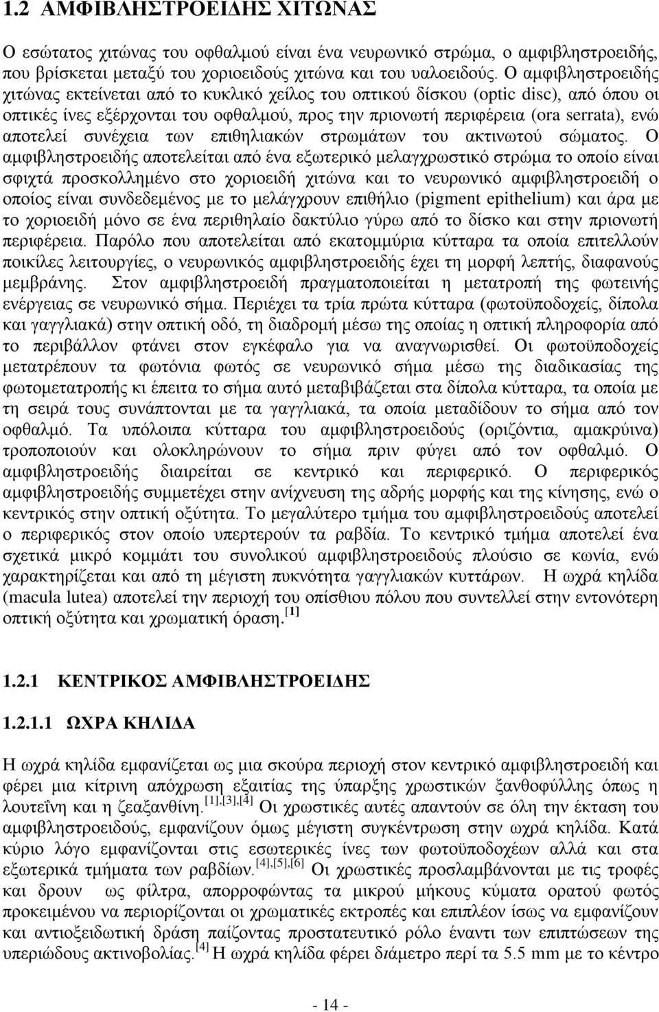 συνέχεια των επιθηλιακών στρωμάτων του ακτινωτού σώματος.