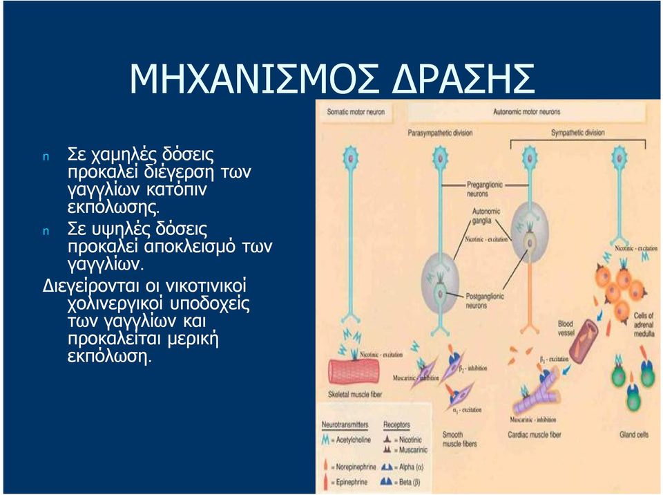 Σε υψηλές δόσεις προκαλεί αποκλεισμό των γαγγλίων.