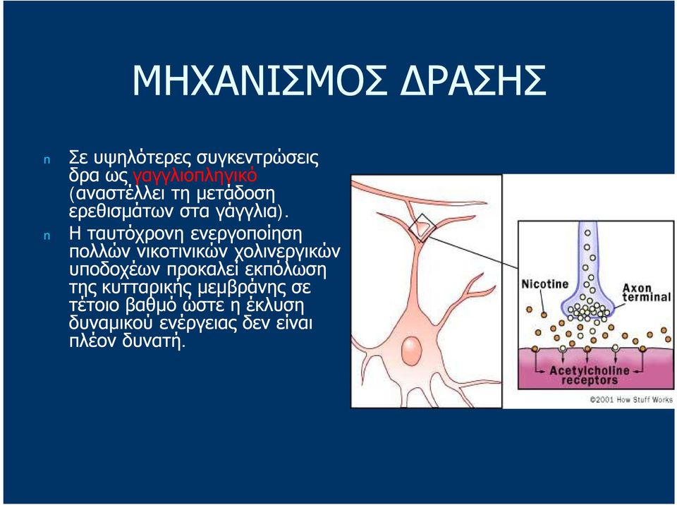 Η ταυτόχρονη ενεργοποίηση πολλών νικοτινικών χολινεργικών υποδοχέων