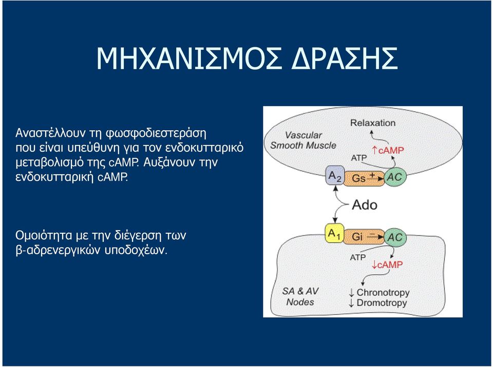 μεταβολισμό της camp.