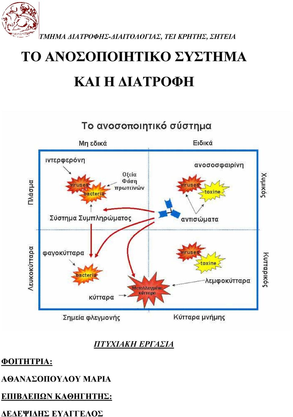 ΙΑΤΡΟΦΗ ΠΤΥΧΙΑΚΗ ΕΡΓΑΣΙΑ ΦΟΙΤΗΤΡΙΑ: