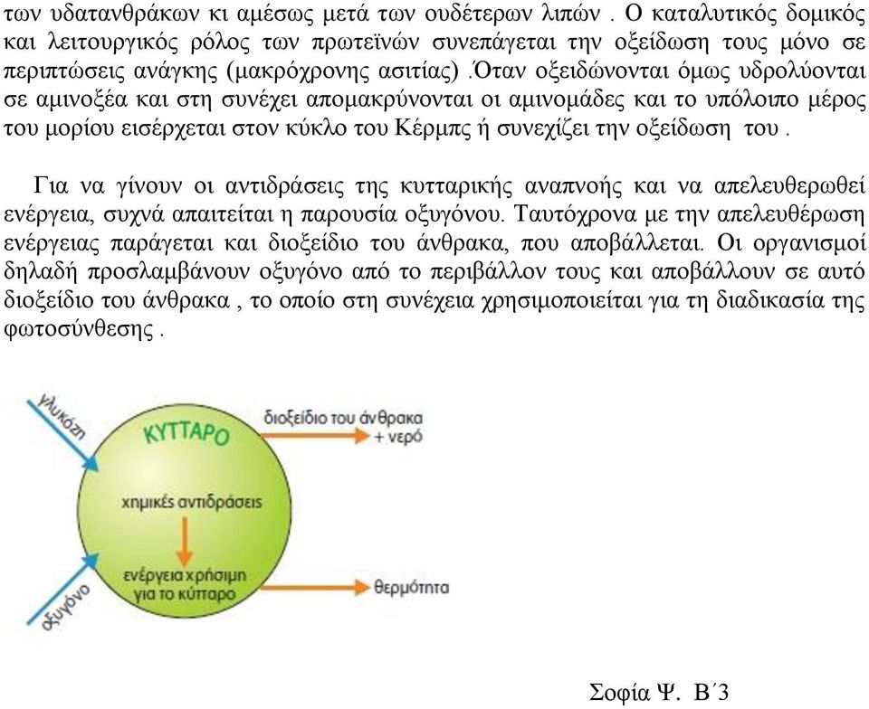 Για να γίνουν οι αντιδράσεις της κυτταρικής αναπνοής και να απελευθερωθεί ενέργεια, συχνά απαιτείται η παρουσία οξυγόνου.