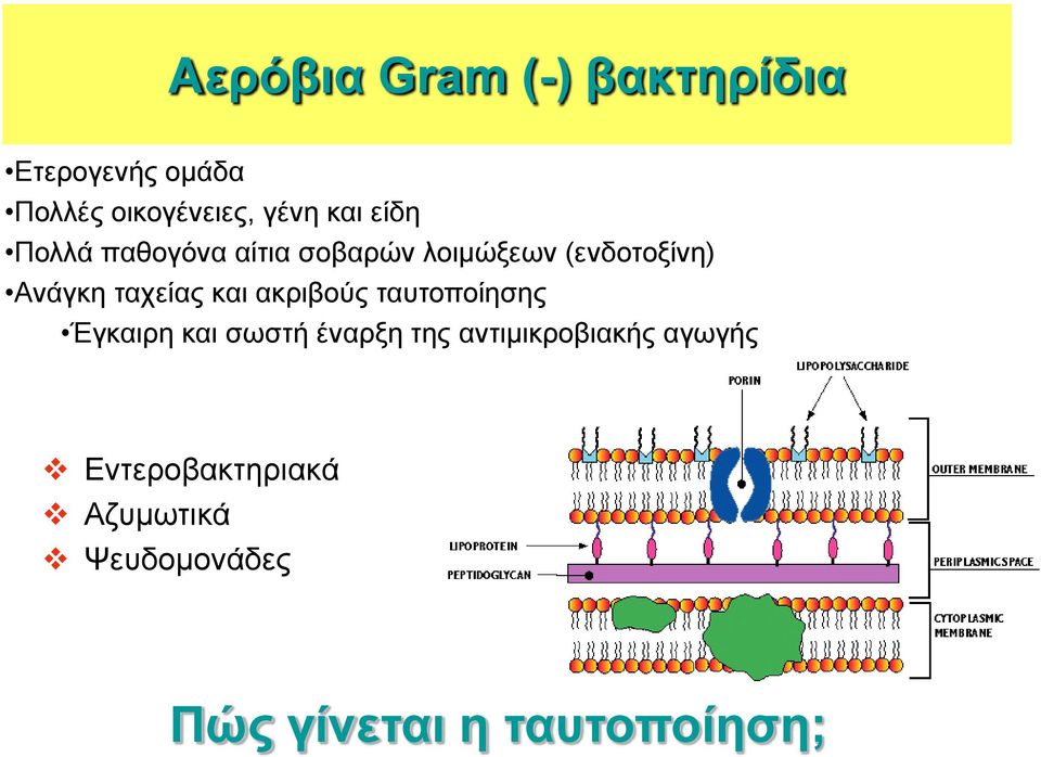 ταχείας και ακριβούς ταυτοποίησης Έγκαιρη και σωστή έναρξη της