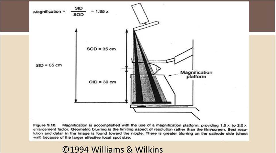 & Wilkins