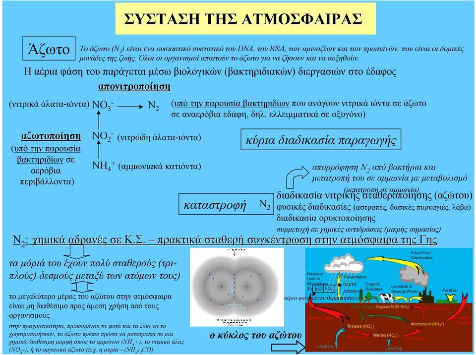 Όλοι οι οργανισμοί απαιτούν το άζωτο για να ζήσουν και να αυξηθούν. ΝΟ 3 - Ν 2 (υπό την παρουσία βακτηριδίων που ανάγουν νιτρικά ιόντα σε άζωτο σε αναερόβια εδάφη, δηλ.