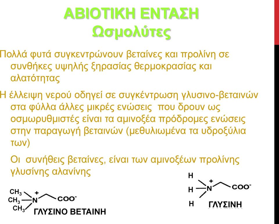 αμινοξέα πρόδρομες ενώσεις στην παραγωγή βεταινών (μεθυλιωμένα τα υδροξύλια των) Οι συνήθεις βεταίνες, είναι των