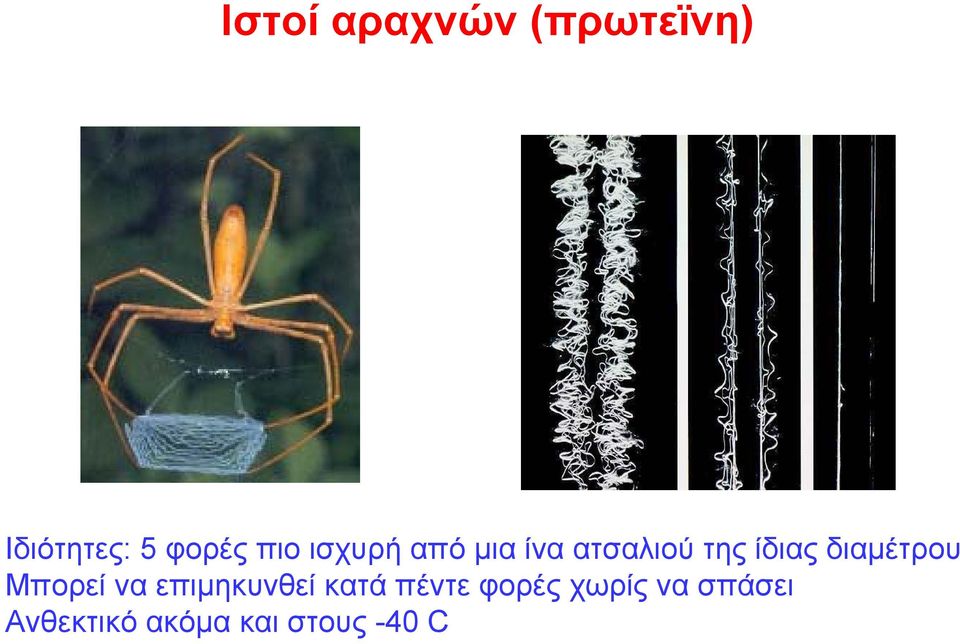 διαμέτρου Μπορεί να επιμηκυνθεί κατά πέντε