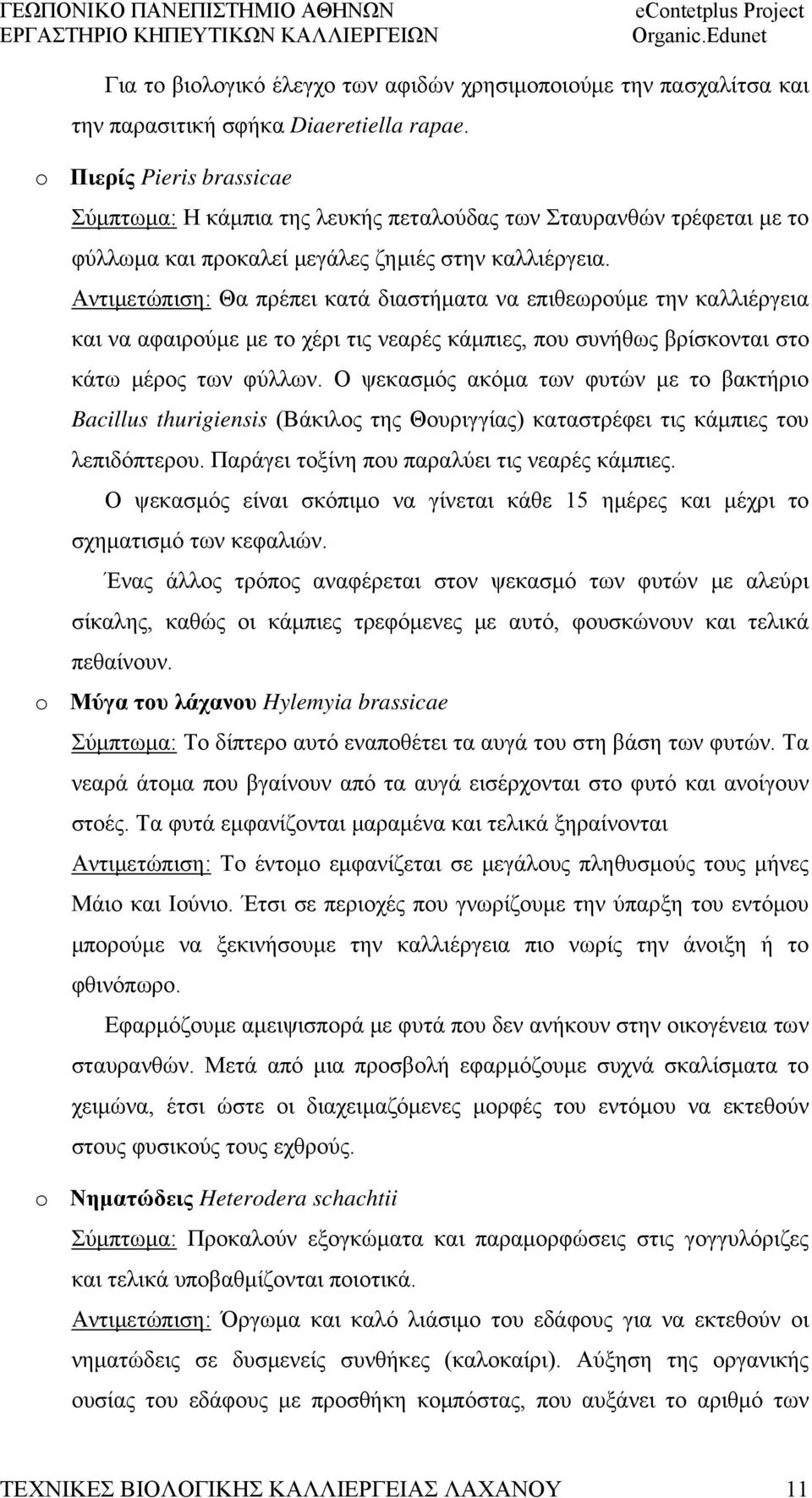 Αντιμετώπιση: Θα πρέπει κατά διαστήματα να επιθεωρούμε την καλλιέργεια και να αφαιρούμε με το χέρι τις νεαρές κάμπιες, που συνήθως βρίσκονται στο κάτω μέρος των φύλλων.