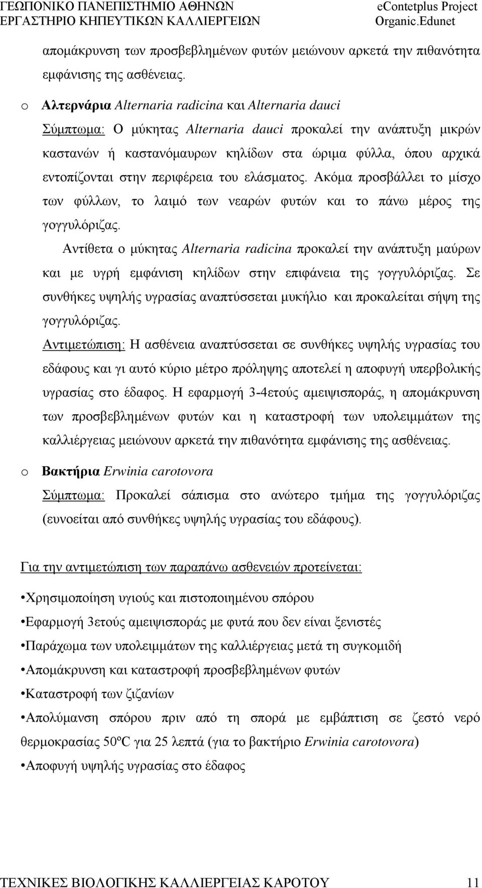 περιφέρεια του ελάσματος. Ακόμα προσβάλλει το μίσχο των φύλλων, το λαιμό των νεαρών φυτών και το πάνω μέρος της γογγυλόριζας.