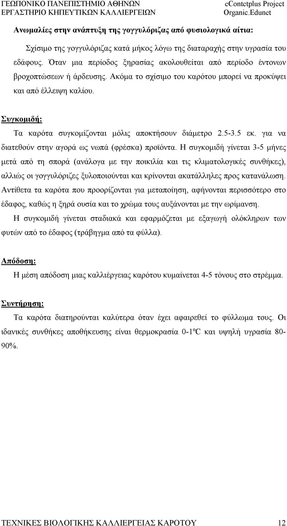 Συγκομιδή: Τα καρότα συγκομίζονται μόλις αποκτήσουν διάμετρο 2.5-3.5 εκ. για να διατεθούν στην αγορά ως νωπά (φρέσκα) προϊόντα.