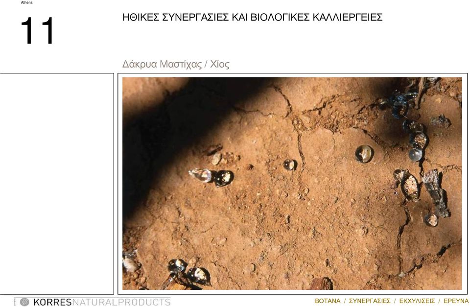 ΒΙΟΛΟΓΙΚΕΣ