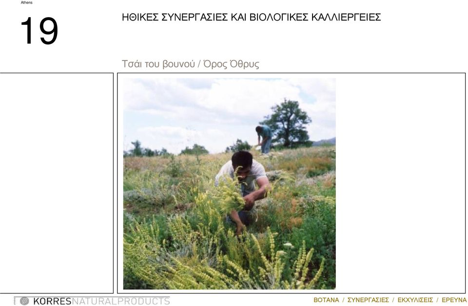 ΒΙΟΛΟΓΙΚΕΣ