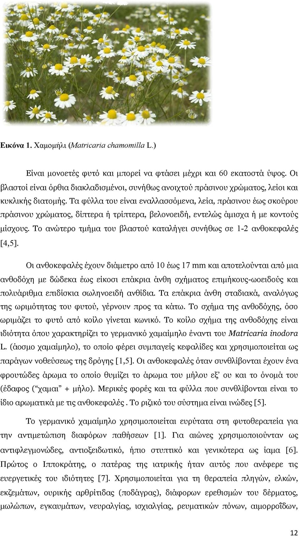 Τα φύλλα του είναι εναλλασσόμενα, λεία, πράσινου έως σκούρου πράσινου χρώματος, δίπτερα ή τρίπτερα, βελονοειδή, εντελώς άμισχα ή με κοντούς μίσχους.