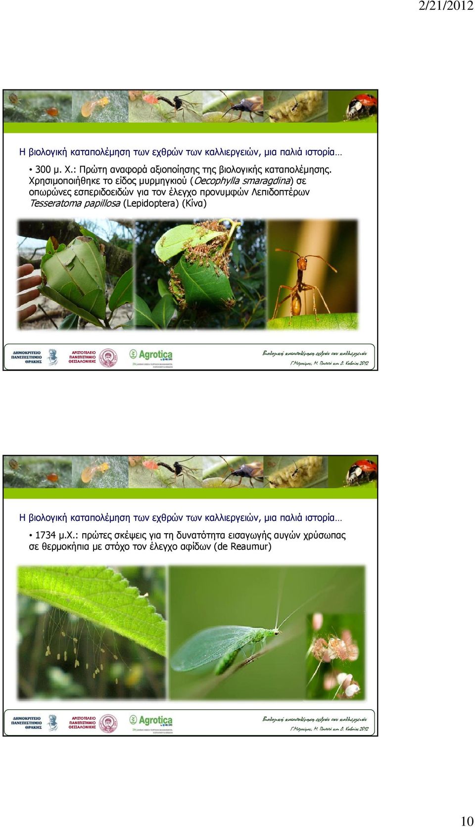 (Lepidoptera) (Κίνα) ΘΕΣΣΑΛΟΝΙΚΗΣ Γ.Μπρούφας, Μ. Παππά και Δ. Κωβαίος 2012 Η βιολογική καταπολέμηση των εχθ